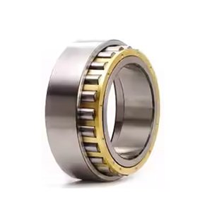 Pinion Shaft Bearing