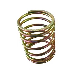 Valve Spring
