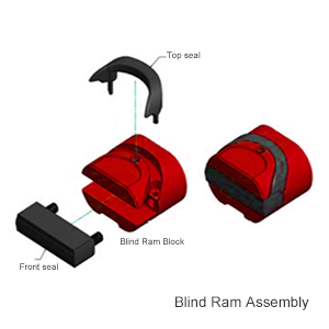 Blind Ram Assembly