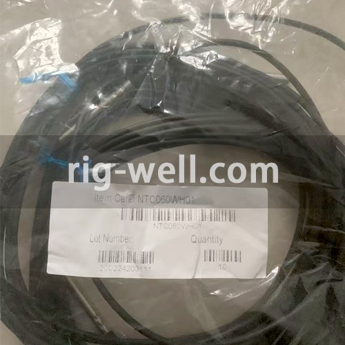 CAREL NTC060WP00-C Temperature Sensor NTC060WH01