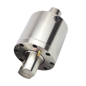 Service Caliper Cylinder