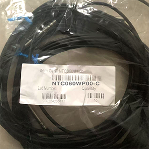 CAREL NTC060WP00-C Temperature Sensor