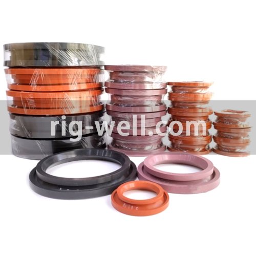 P17460C-01 Dome Valve Seal