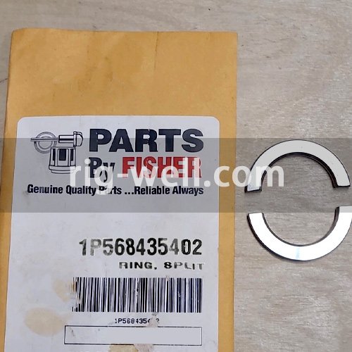 Fisher 1P568435402 Ring