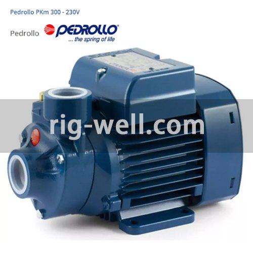 Pedrollo PKm 300 Peripheral impeller pump PKm300