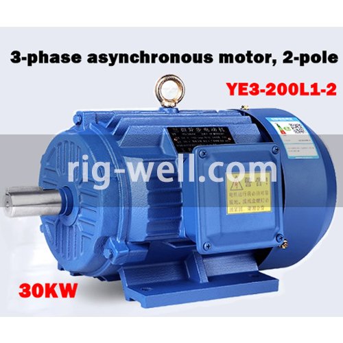 YE3-200L1-2 30kw 3phase Electric Motor 400VAC 2850rpm 50Hz Foot-Mounted